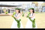 はじめてのフラダンス　体験