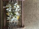 植物を織る-春の彩り-