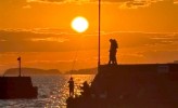 佐久島で過ごす
 大人のための自然塾